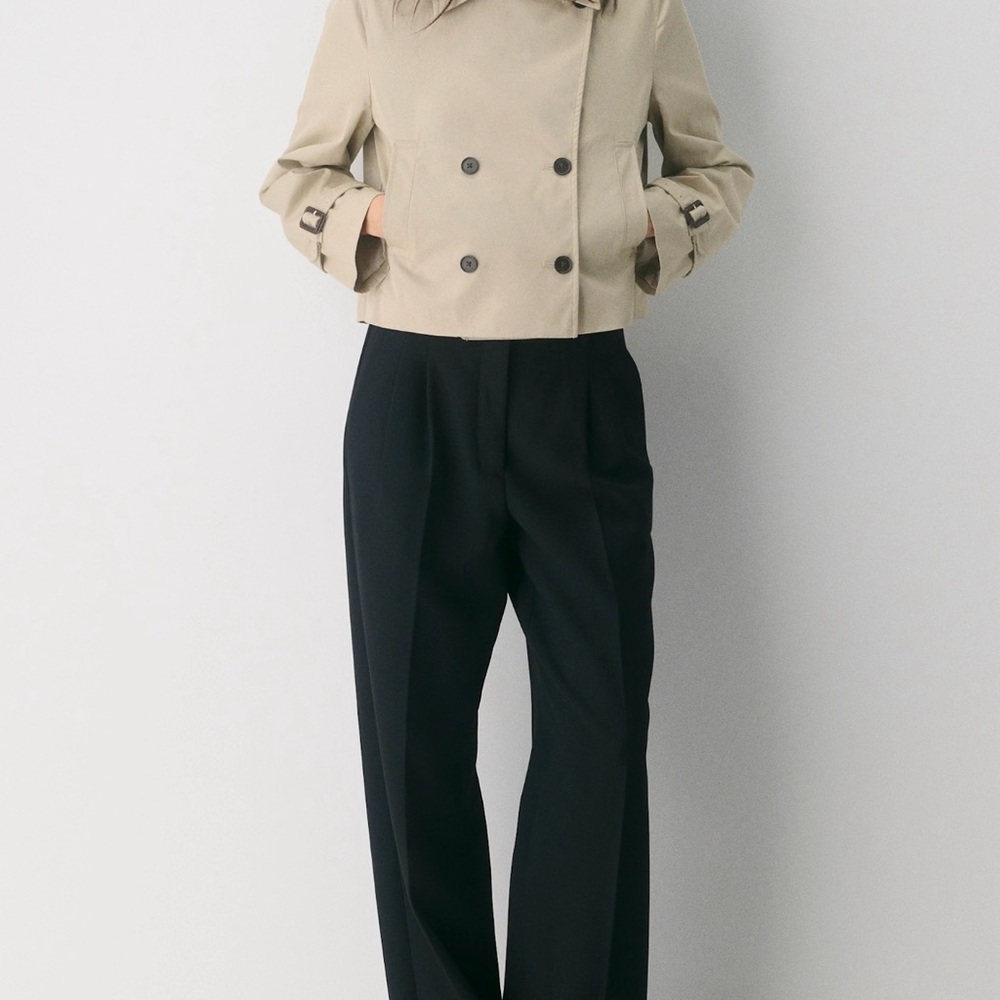 Aritzia Esquire trench coat